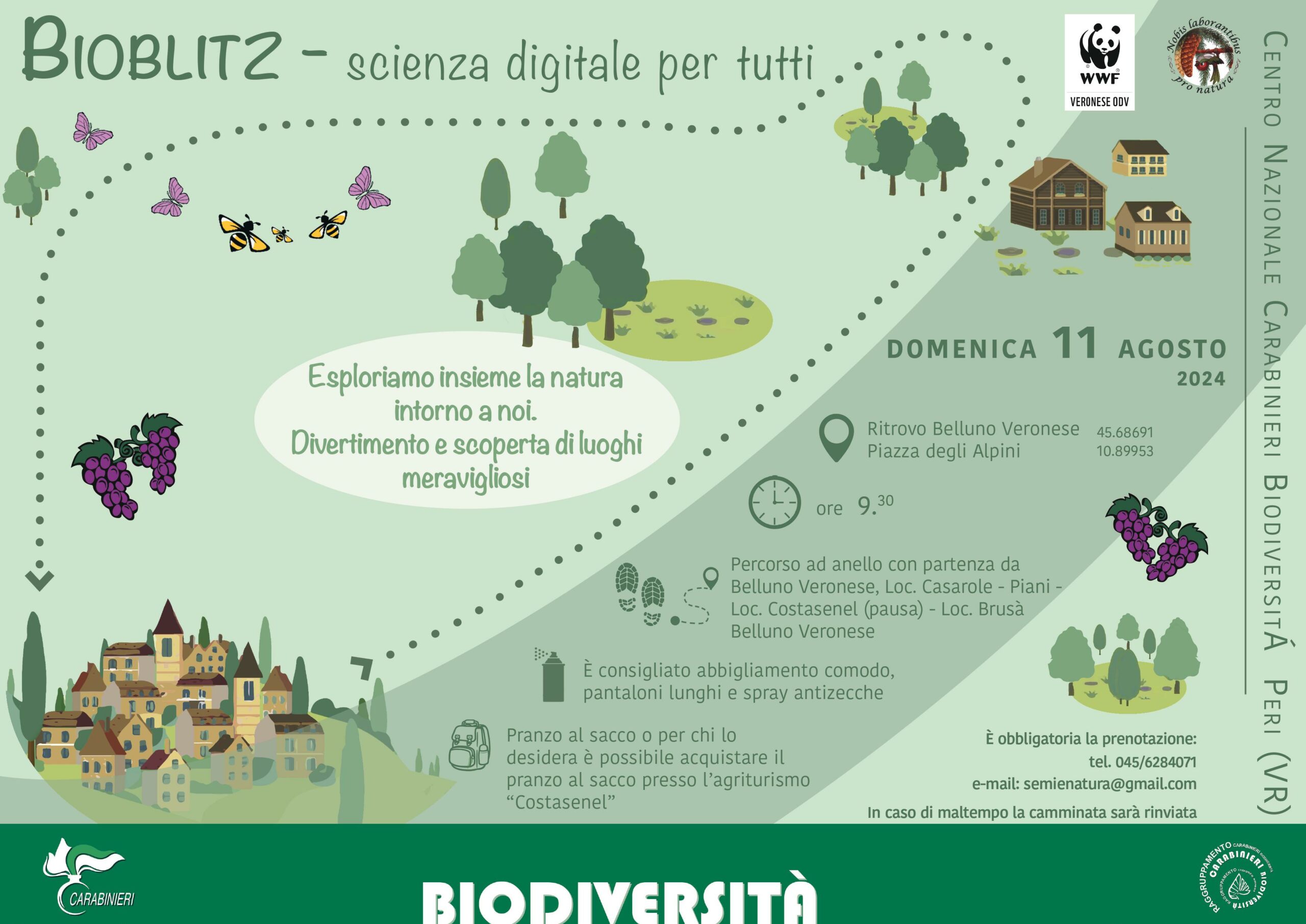 Bioblitz in Valdadige