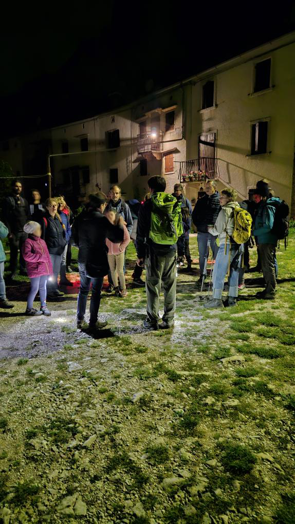 Esperienza unica ad ascoltare il bramito dei cervi in Lessinia