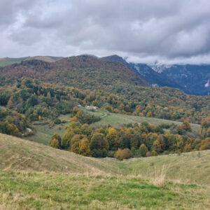 Colori autunnali in Lessinia