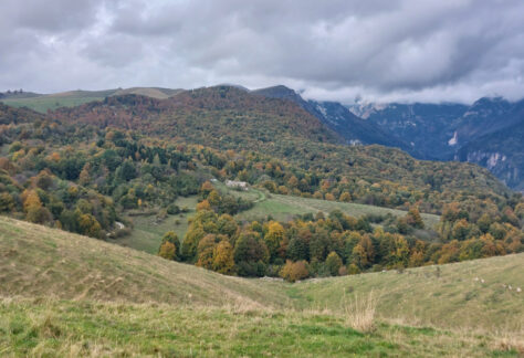 Colori autunnali in Lessinia