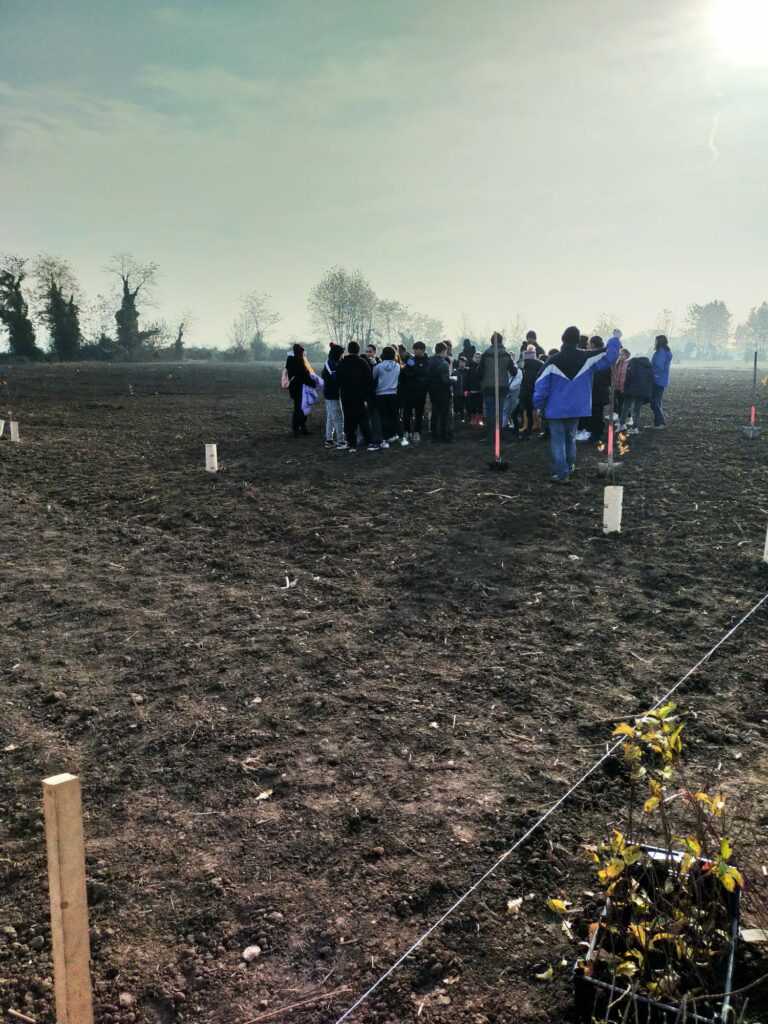 400 alberi piantati a Povegliano con gli studenti