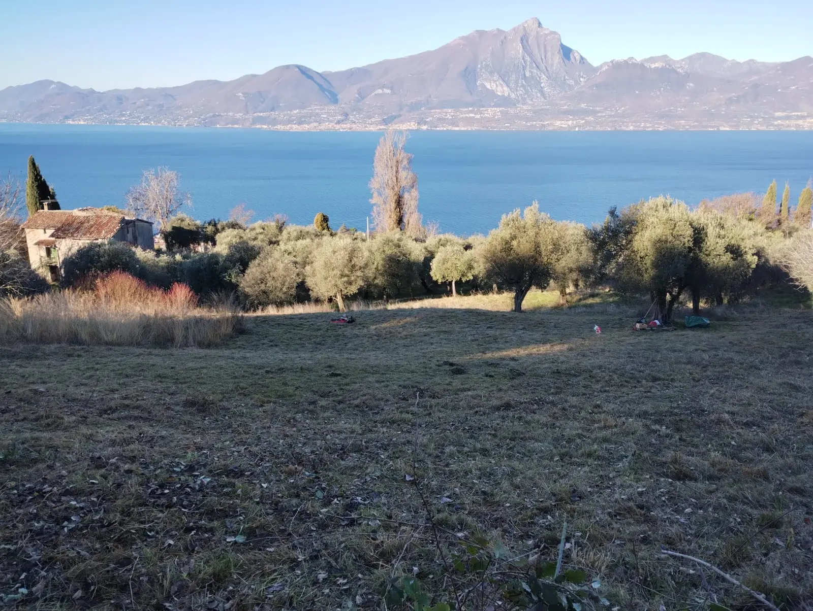 Sfalcio laxiflora in Val Magra con veduta del Lago di Garda