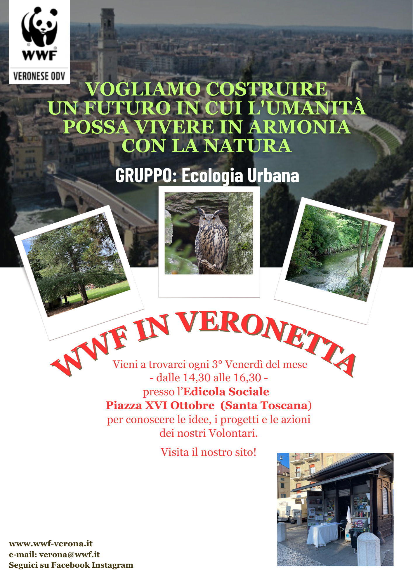 Locandina WWF in Veronetta